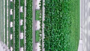 plenty compton grow room